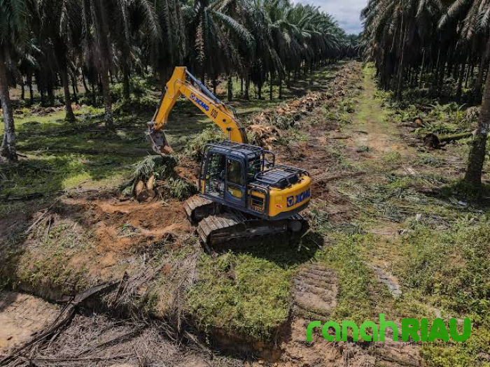 Diduga Excavator Bumdes Bakti Makmur digelapkan Oknum Direktur, Ketua PPRI: Mungkin dibackup Suyadi
